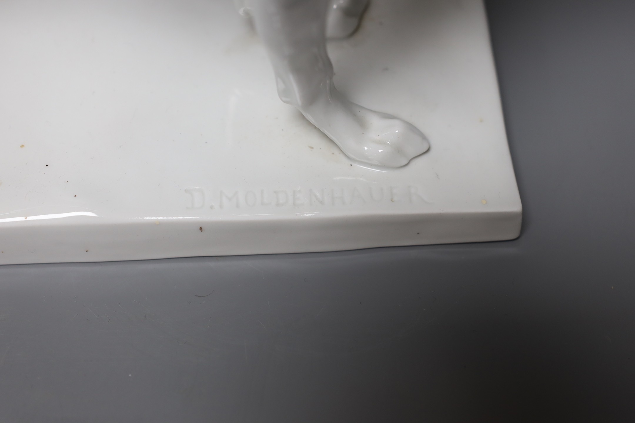 A 20th century German white glazed porcelain model of a whippet, impressed D. Moldenhauer, 31cm wide